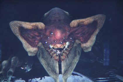 Destiny 2 Last Wish 15