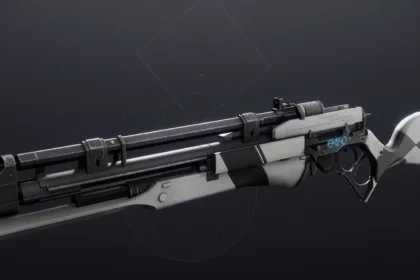 Destiny 2 Long Arm PvP & PvE God Rolls - Rite of the Nine